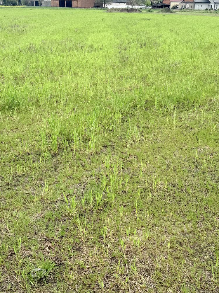 Dzialki budowlane