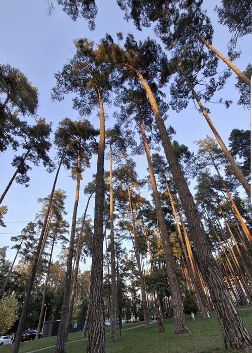 ЦЕНТР! МІСТО ІРПІНЬ Оренда євро-2х кім квартири 53м2