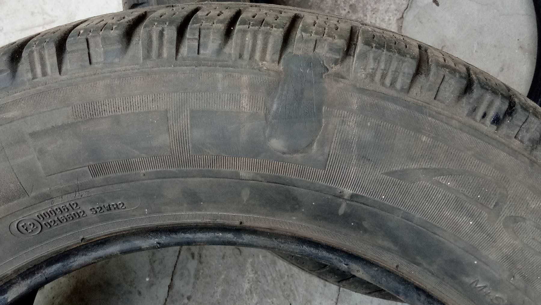 Зимова гума Michelin Agilis Alpin 215 65 R16C 2 шт.