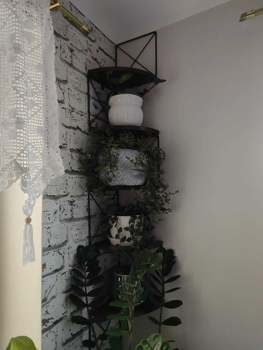 Loftowa narożna kwietnik dekoracja ścienna półka 5 poziomów