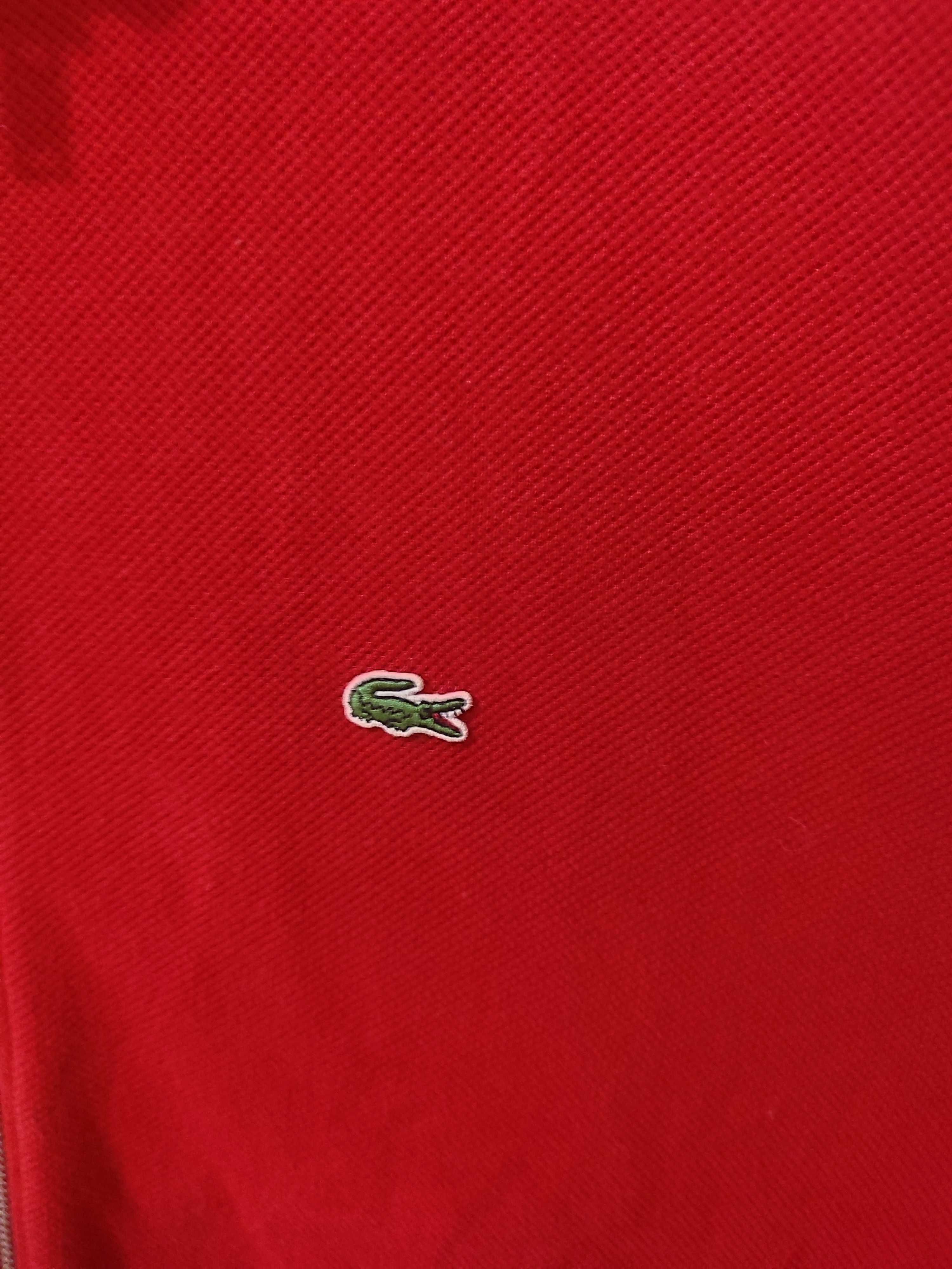 Casaco Lacoste Primavera/Verão