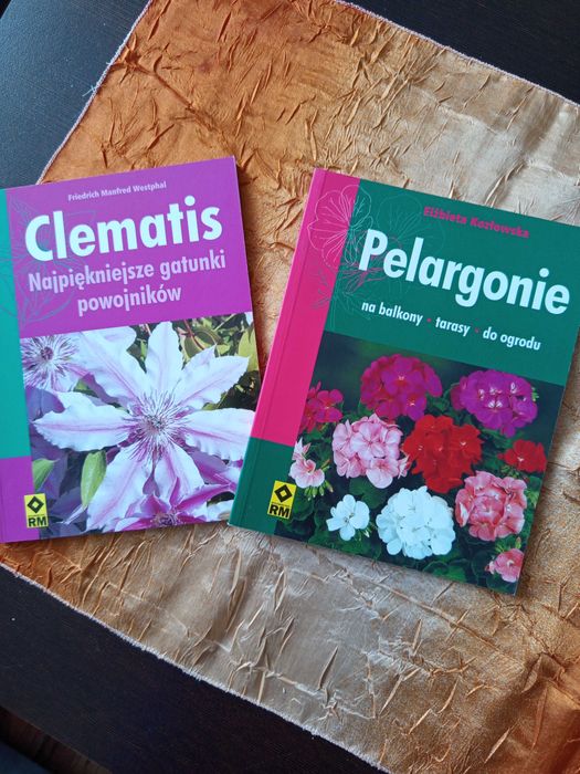 Oddam dwie książki