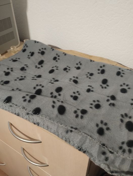 Legowisko, hamak na okno dla kota