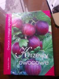 Krzewy owocowe Augustyn MIka