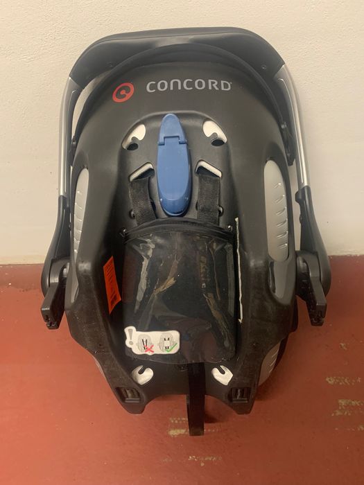 Vendo Ovo baby cock Concord