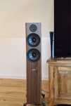 Polk Audio Reserve R600 Walnut