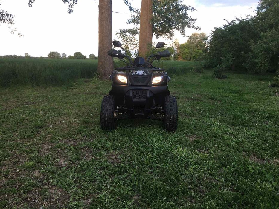 Квадроцикл Shineray rover 250