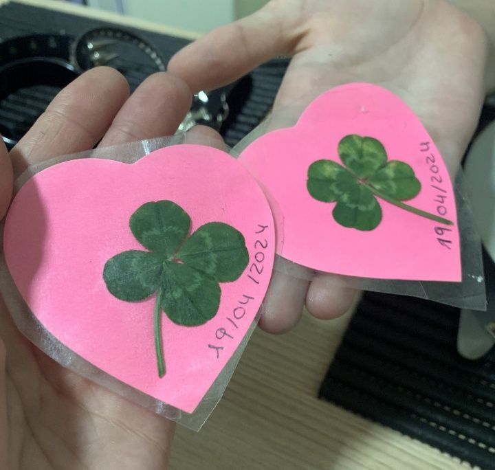 Trevo de quatro folhas