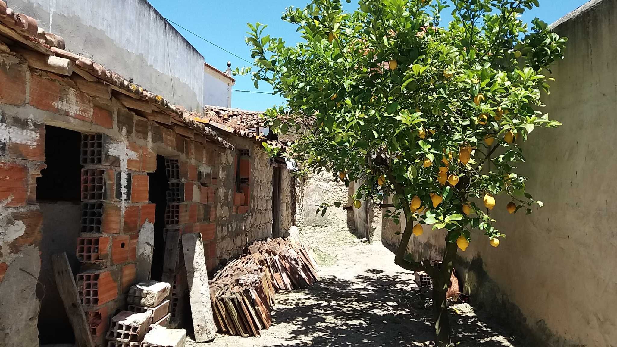 Moradia em ruína em aldeia sossegada