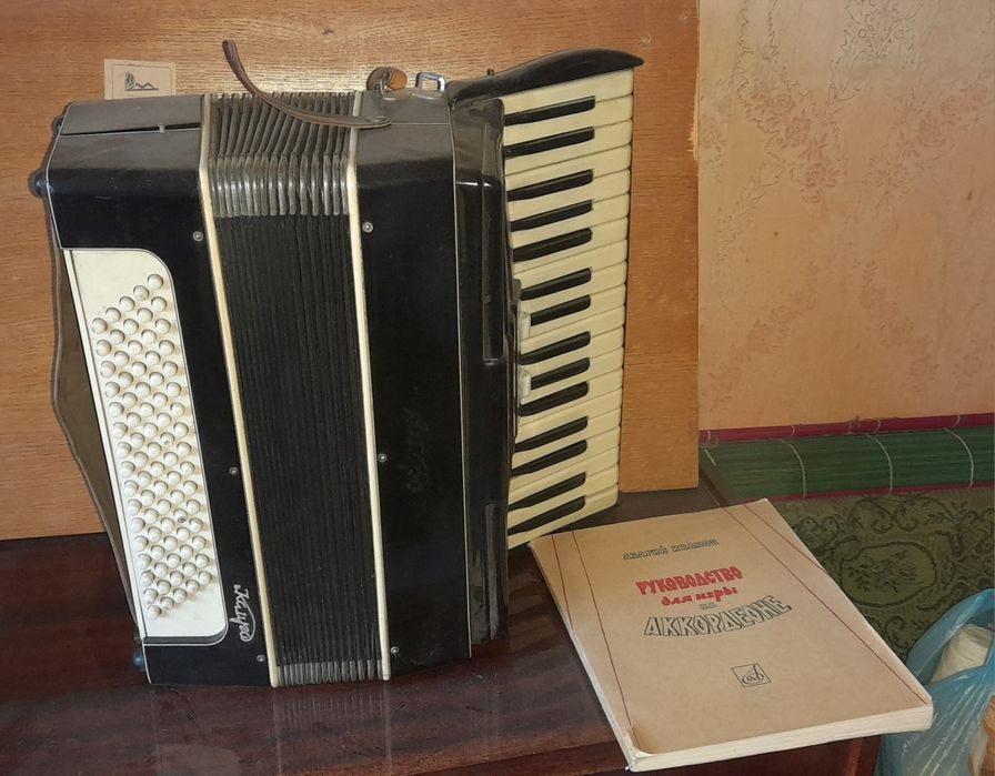 Аккордеон  вживаний