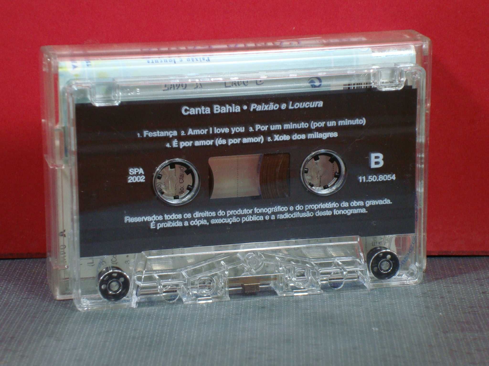 Canta Bahia ‎- Paixão E Loucura / Cassete / Near Mint