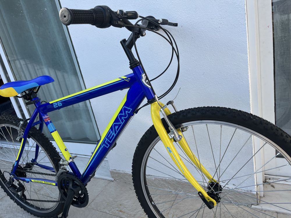 Bicicleta “Team adventure”