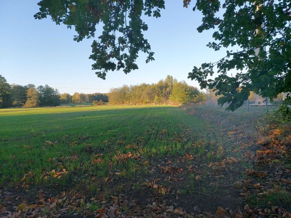 Sprzedam działkę rolno – budowalną położoną w Janowie w gm. Skaryszew