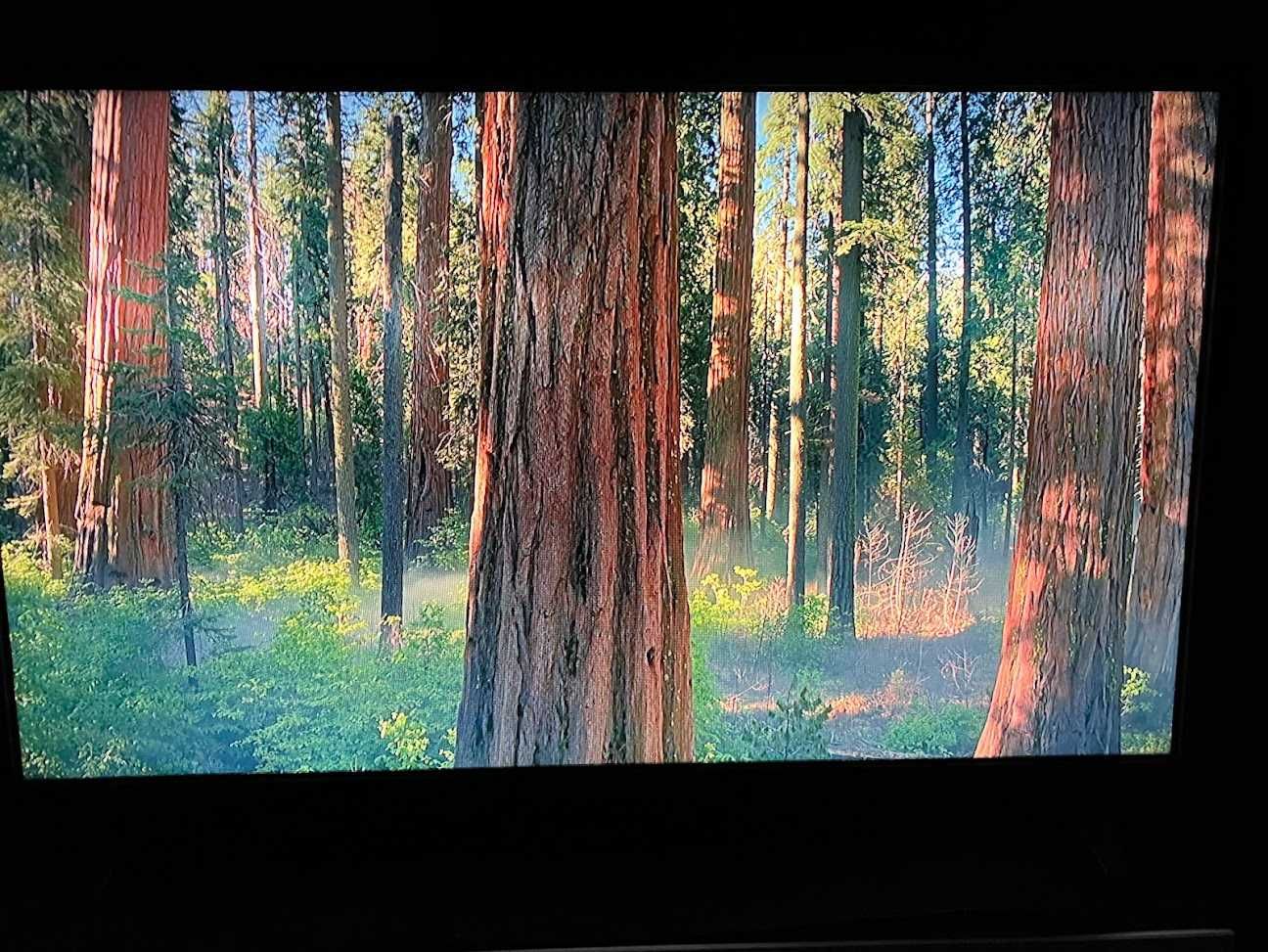 TV LED LG 32" / 80cm 32LM550BPLB