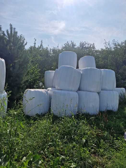 Sprzedam bele sianokiszonki