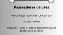 Passeador de cães, os nossos melhores amigos.