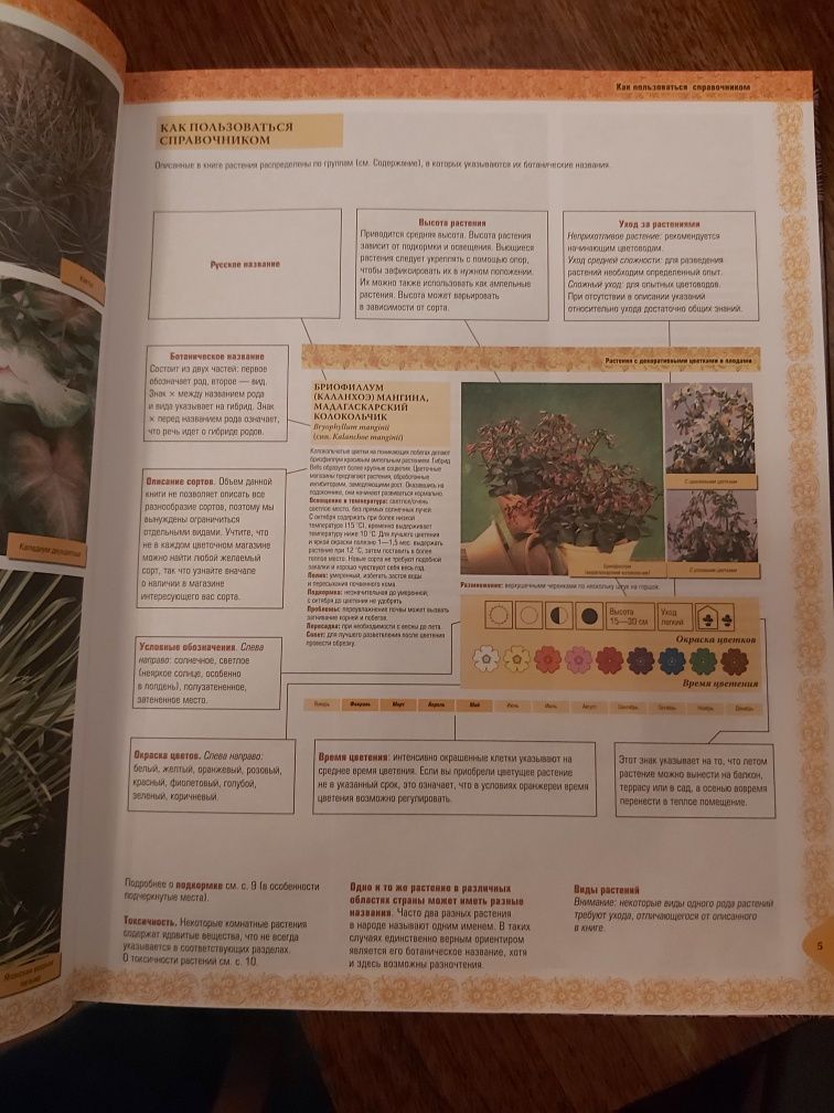 Справочник Комнатных растений