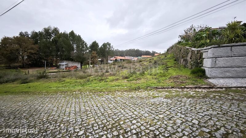Terreno para Construção / Penafiel, Cabeça Santa