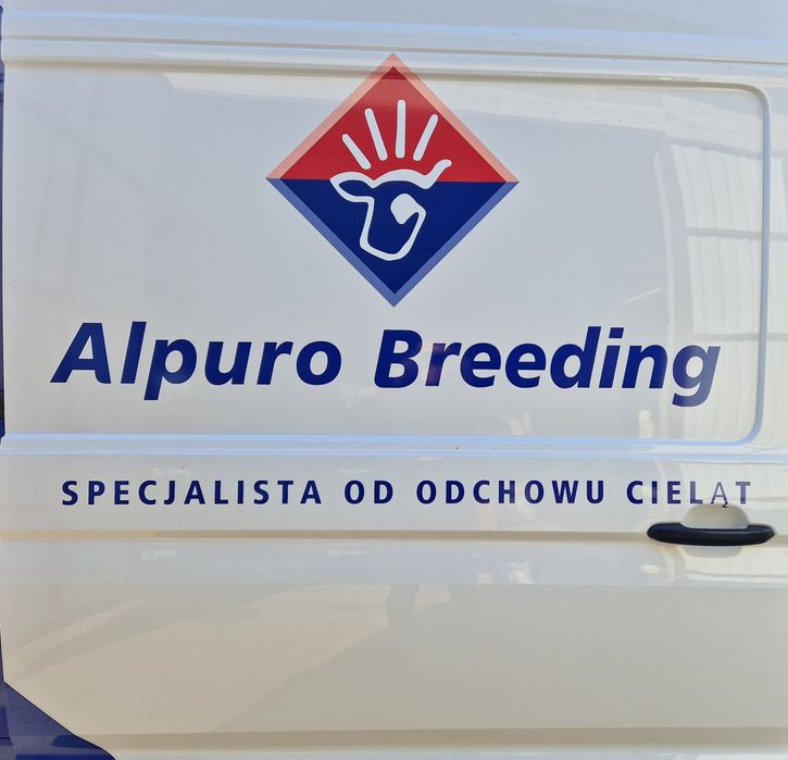 Mleko dla cieląt, mlekopan, mleko zastępcze, pełne mleko, Alpuro