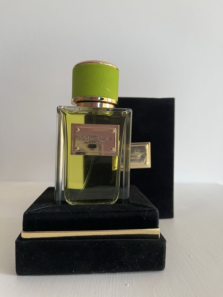 Dolce&Gabbana Velvet Mughetto
