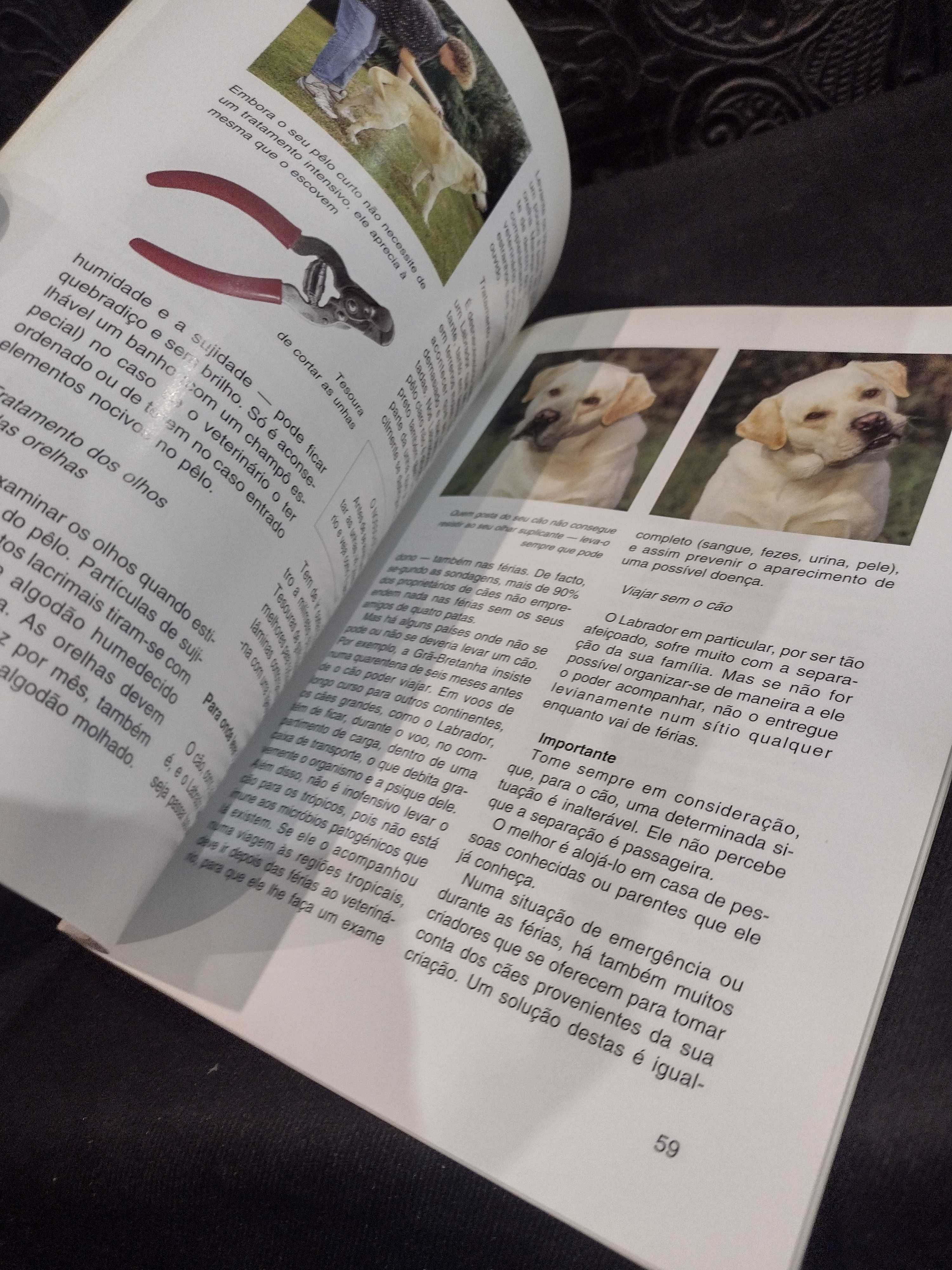 O Lavrador Retriever - Uschi Birr