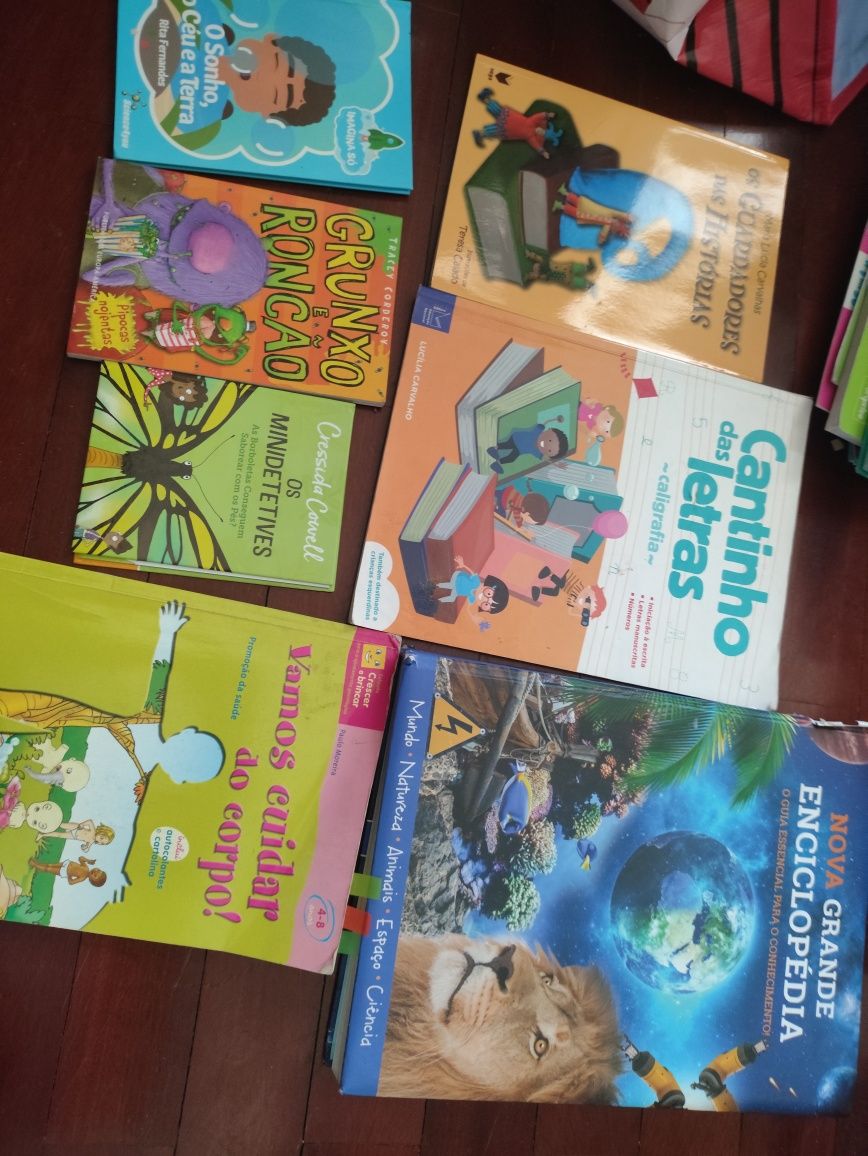 Lote de Livros Infantis – Quase 50 títulos diferentes!