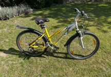Rower Giant Rock 26” Rama 17