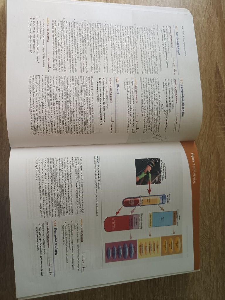 Anatomia e Fisiologia de Seeley 10° edição