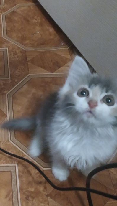 Вона ще зовсім малеча, але вже вміє чекати…