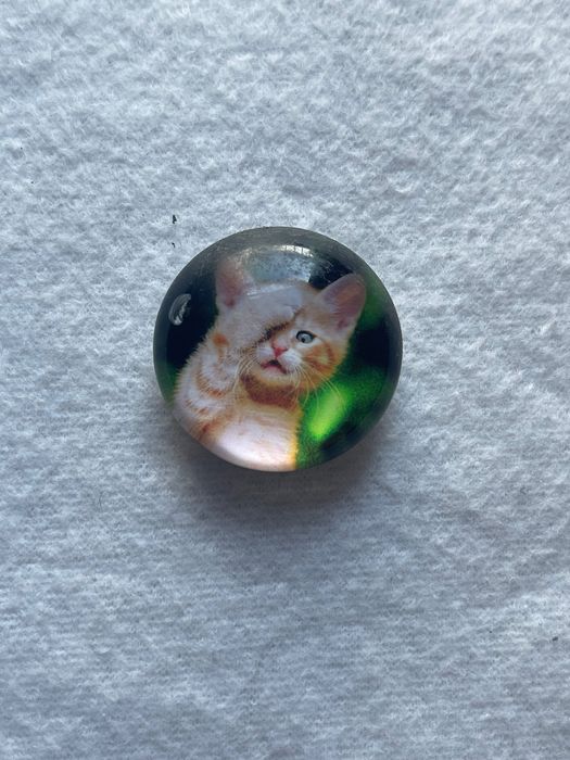 Magnes z rudym kotem