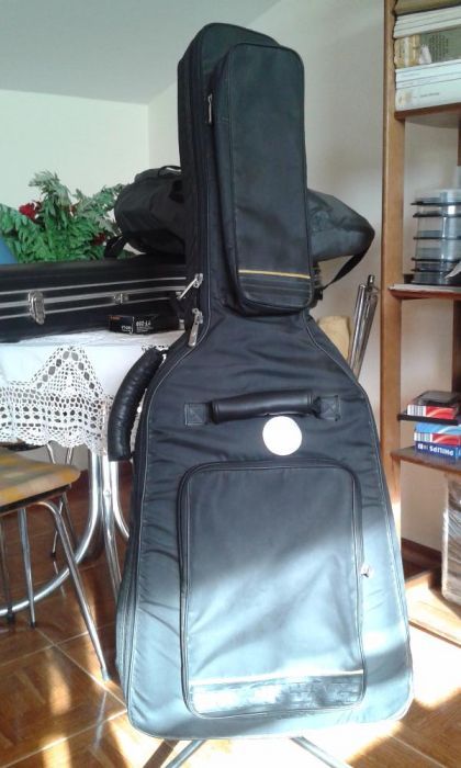 Guitarras c/pickups passivo e activo + Combo Stagg 60 Watt + Microfone