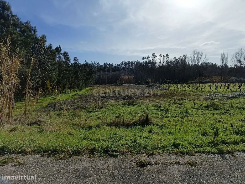 Terreno à Venda - 1900m²