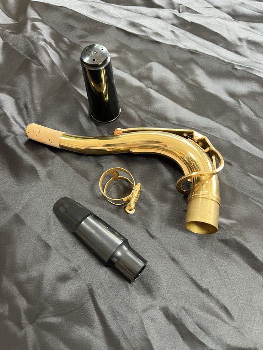 Saxofone Tenor Roy Benson TS-202