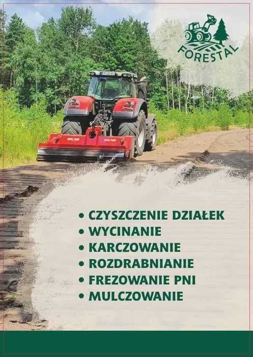 Wycinka / Czyszczenie działek / Mulczowanie / Rekultywacja / Wgłębny