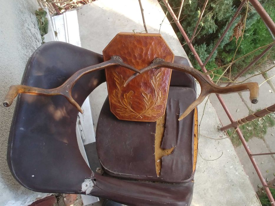 Роги Оленя на підставці