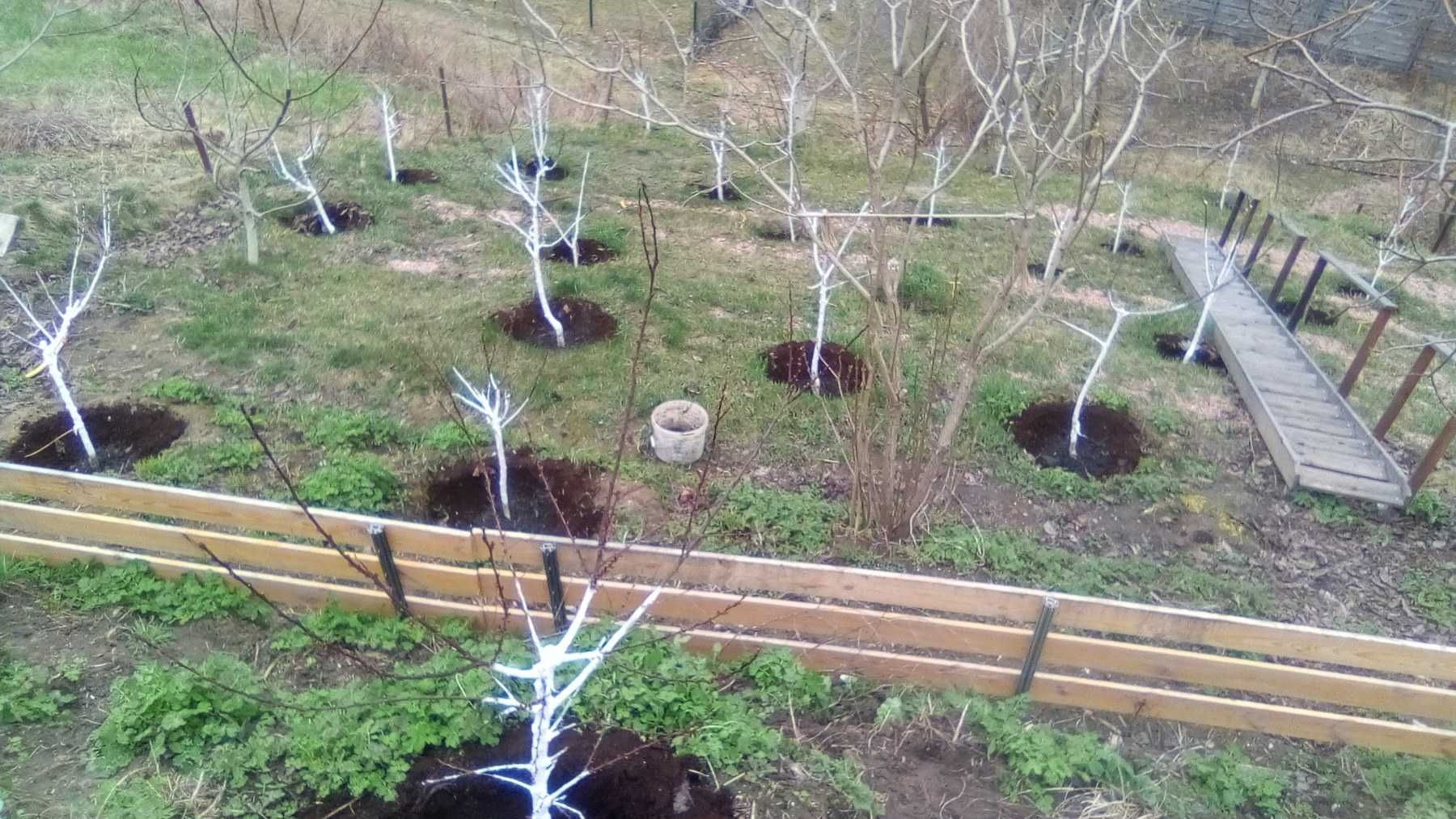 Садівник. Обрізка саду. Обробка препаратами. Стрижка та ремонт газону.