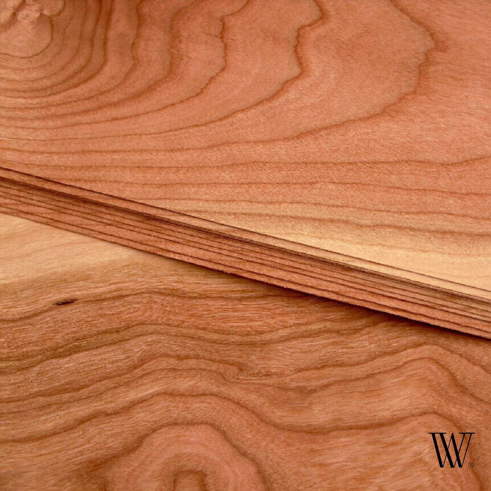 Cerejeira Americana - folha de madeira / American Cherry veneer