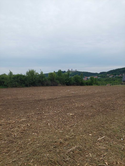 Mulczer leśny , wgłebny, oczyszczenie działki, mulczowanie, wycinka,