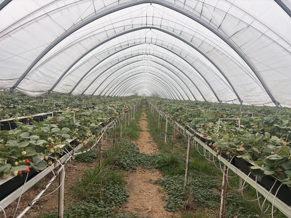 Podłoże kokosowe, maty, torf