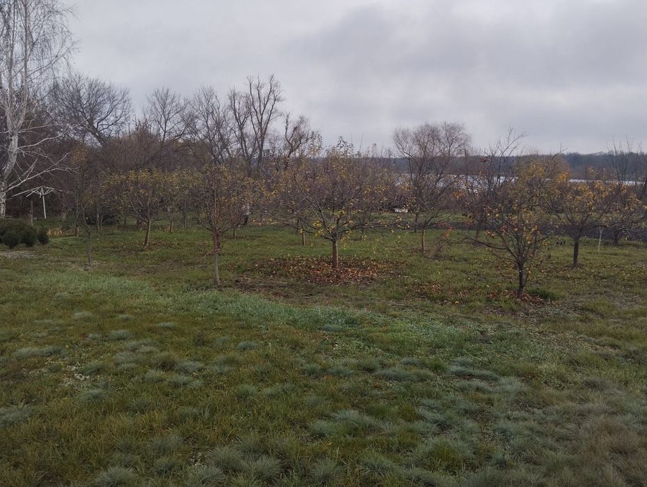 Продається дача на річці Інгулець