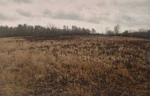OBWIESZCZENIE o pierwszej licytacji nieruchomości poł. w Wysokiej