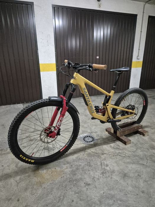 Santa cruz bronson