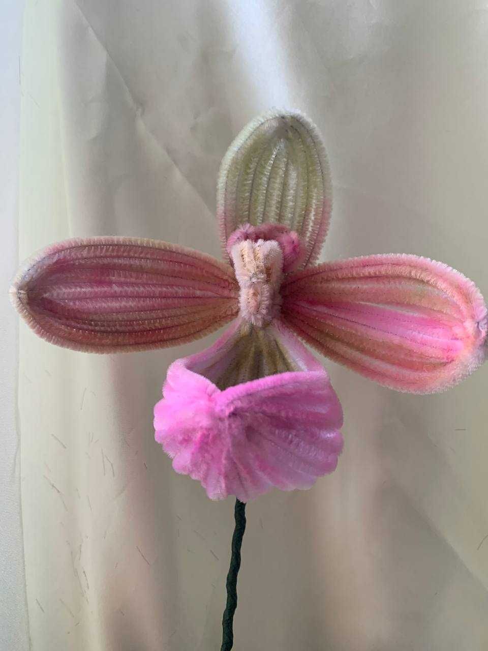 Цветок интерьерный, орхидея
