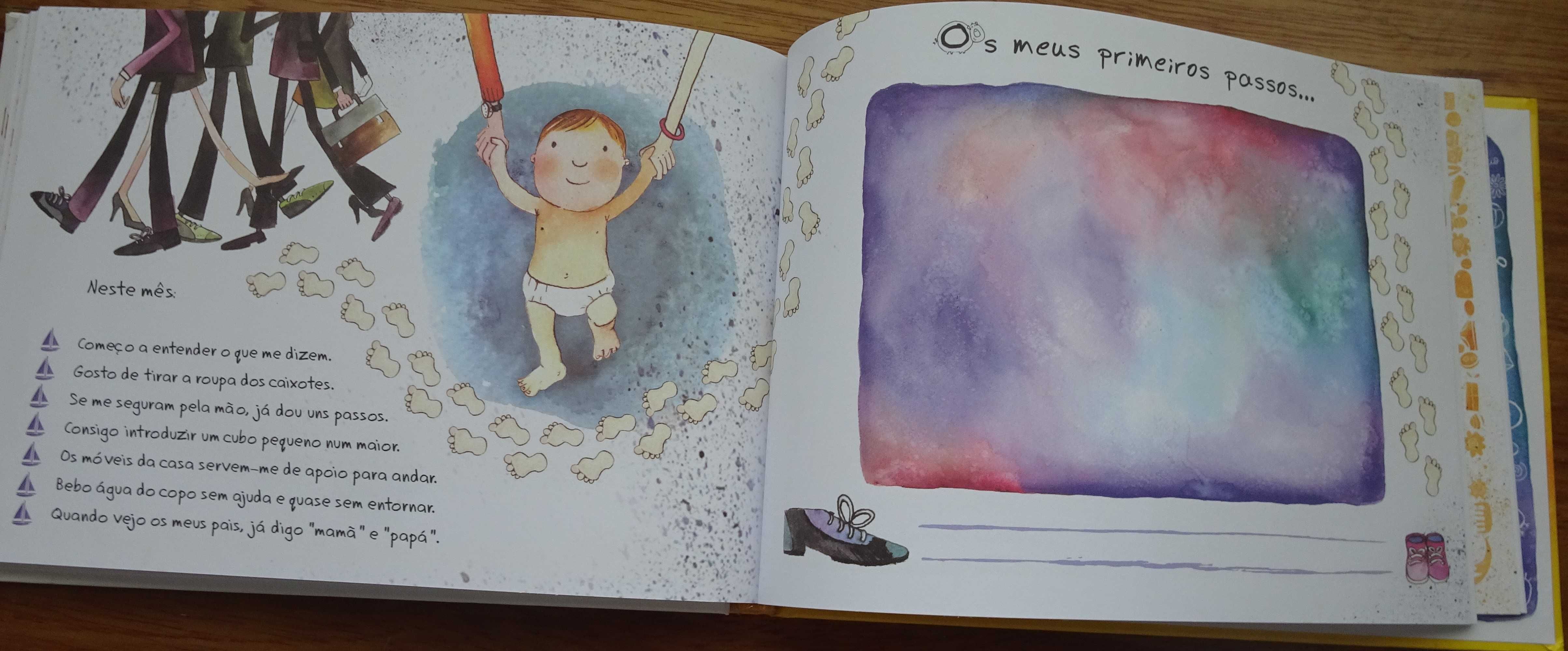 O Primeiro Ano do Meu Bebé