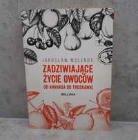 Jarosław Molenda Zadziwiające życie owoców od ananasa do truskawki