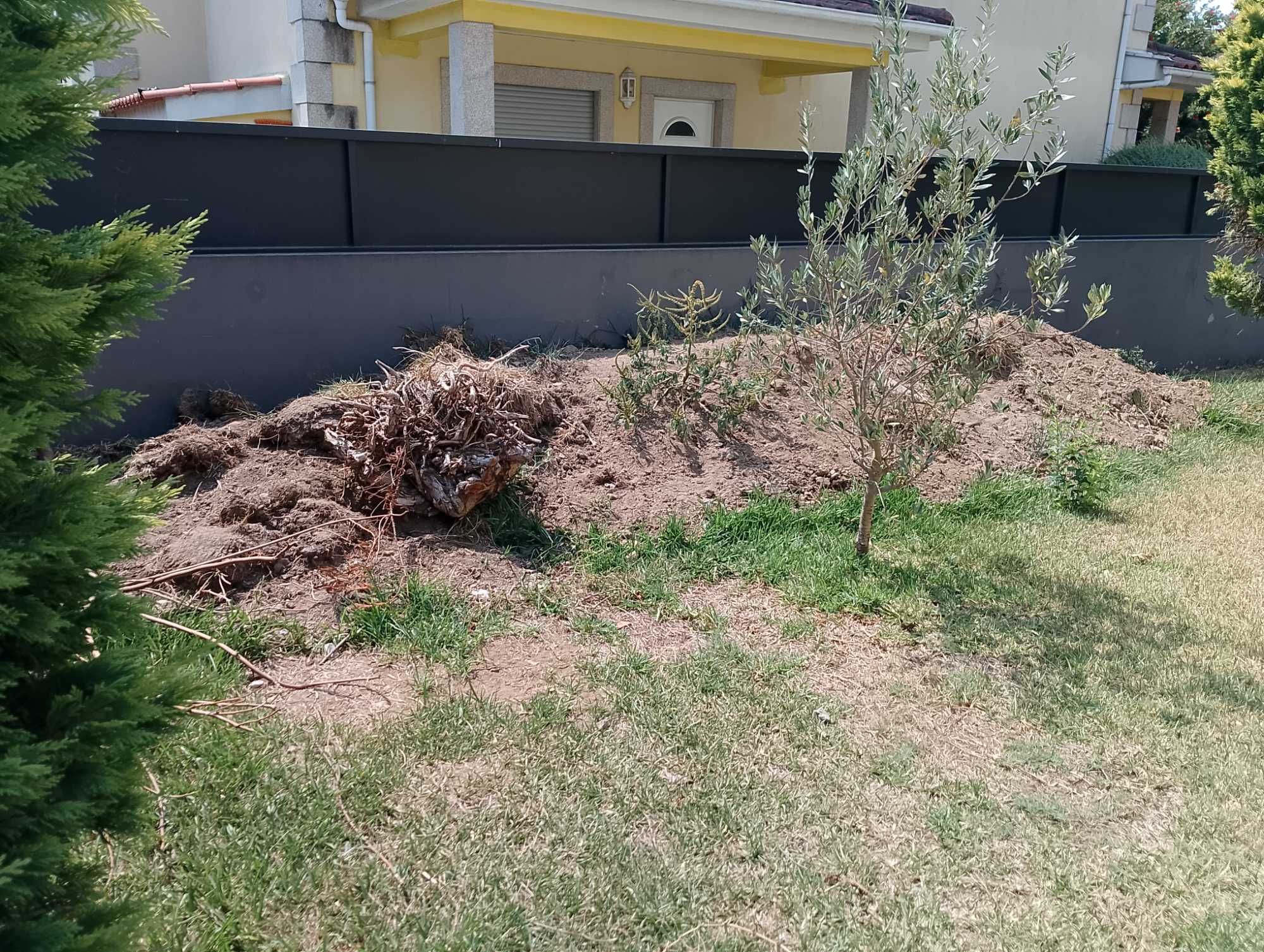 Dou terra de jardim e entulho