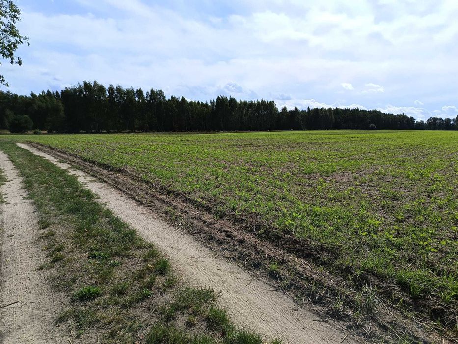 Działki budowlane w Tuszynie