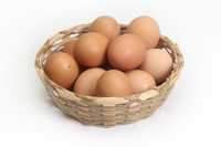 Jajka wiejskie z możliwością dostawy