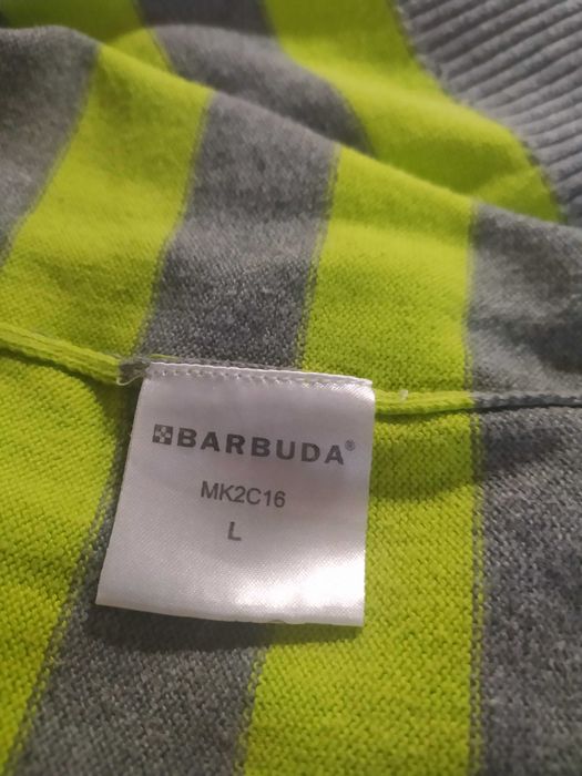 Чоловічий реглан  салатово-сірого кольору в полоску