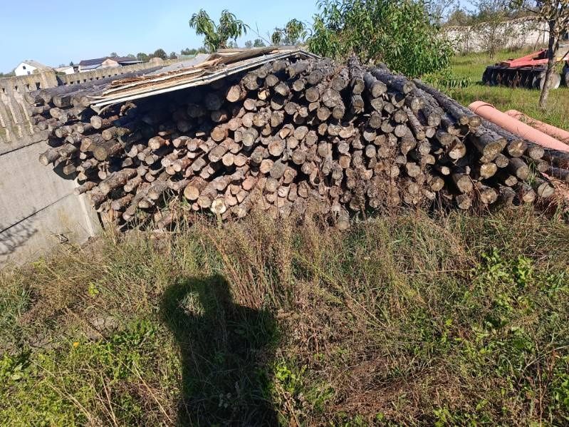 Stemple budowlane 350 sztuk